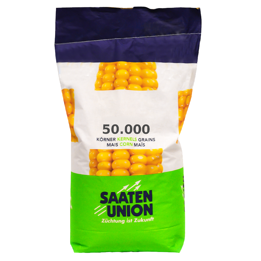 Kukurydza Sunaro Saaten Union Kukurydza